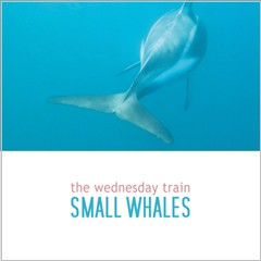 Cover of Small whales by The Wednesday Train